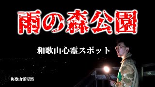 【和歌山】深夜の雨の森公園で怪奇酒【心霊スポット】海南市 夜景スポット