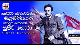 🧿#PhysicsTalks  - අයින්ස්ටයින්ගේ මළමිනියෙන් මොළය හොරකම් කල  හොරා How #Einstein’sBrain  Was Stolen