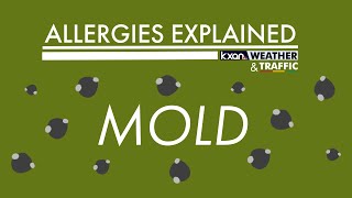 Allergies Explained - Mold