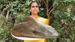 சுவையான சுறா மீன் தலை குழம்பு l Tasty shark fish head Cooking l Sura Meen Thala Kuzhambu in Tamil