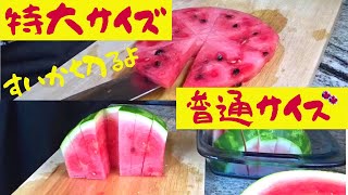 026【すいか】特大と普通サイズ切るよ｜パーティー用に｜遊び感覚で子供とどうぞ