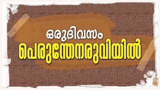 അപകടം നിറഞ്ഞ പെരുംതേനരുവി വെള്ളച്ചാട്ടം#ഒരു ചെറിയ ട്രിപ്പ്‌ #perumthenaruvi water falls