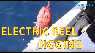 Electric Reel Jigging Fishing in Bali