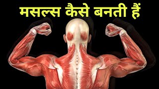 gym जाने से मसल्स कैसे बन जाती हैं - muscle regeneration in hindi