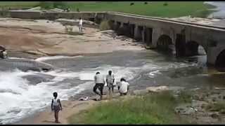 Namma Tumakuru_Mallagatta lake_Turuvekere_Tumakuru.