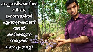 Poison In Tapioca And How Does It Work , Explained In Malayalam.