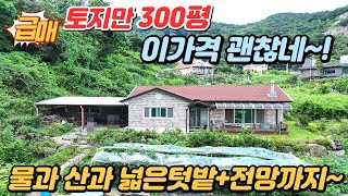 토지만300평 / 이가격 괜찮네 /물과산과 넓은텃밭 전망까지