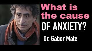Healing Anxiety: Discovering Hope with Dr. Gabor Mate on How to identify the cause. #anxiety #gabor