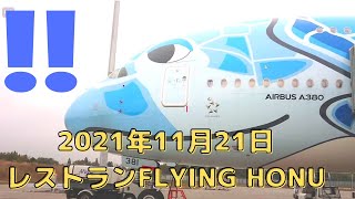 【211121】ANA A380レストラン フライングホヌ 機外より1号機と2号機