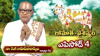 గోమాత వైశిష్ట్యం // ఎపిసోడ్ 4 // డాక్టర్ రంగ రామానుజాచార్యులు