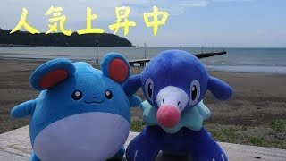 【ポケモンぬいぐるみ紀行】富浦のなが～い桟橋