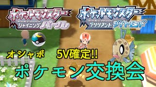 【ダイパリメイク】5Vヒンバス配布　ポケモン交換会【桜木咲良】