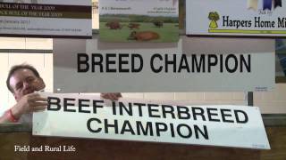 Red Ruby Devons Breed Champion