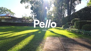 Pello Property | 14 Kintore Street, Wahroonga NSW