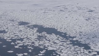 オホーツク上空で流氷観測 海保、平年並みに南下