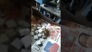 Small model Camphor machine video