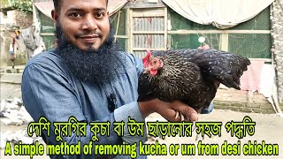 মুরগির কুচা বা উম ছাড়ানোর সহজ পদ্ধতি  Easy way to remove chicken udder or um