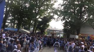 令和元年 北澤八幡宮 東北沢宮入