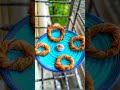 Crispy Pizza Rings | Unique Recipes | Easy Recipes #shorts