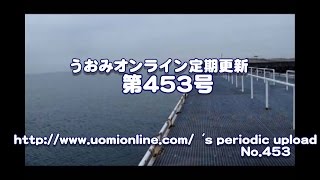 豊浜漁港釣り桟橋（愛知県）で水中探訪（2015/2）【水中動画の定期更新No.453】