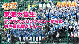 [東京/東海大菅生]アフリカンシンフォニーからの大声量応援メドレー_選抜2023