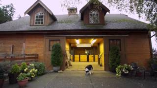 Sunrise Suite Vacation Rental Victoria B.C. Canada