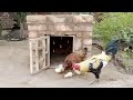 DIY Chicken Coop Primitive Technology by Khaby Crafts and Creations