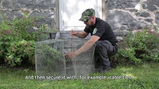 Seal-safe fish trap