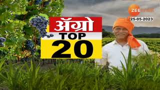 Agro Top 20 | महाराष्ट्रातील शेतकऱ्यांसाठी महत्त्वाच्या आणि शेतीशी निगडित मोठ्या बातम्या । LIVE