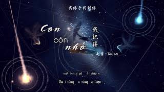 [Vietsub] Con còn nhớ - Triệu Lôi | 《我记得》赵雷