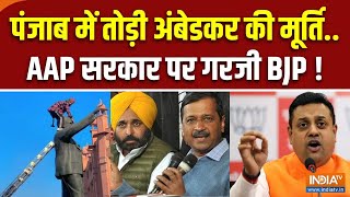 BJP Press Conference : पंजाब में किसने तोड़ी बाबा साहेब की मूर्ति? | Ambedkar Statue | Bhagwant Mann