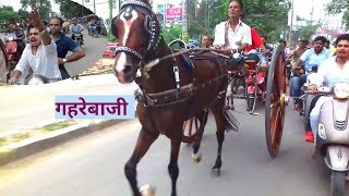 TANGA HORSE RACE IN ALLAHABAD GOPAL MAHARAZ (GOLU MAHARAJ )HORSE GAHAREBAGI RACING IN SAWAN