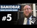 Shnayim Yomi - Bamidbar - Chamishi - #5