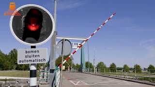 DUTCH BRIDGE OPENS - Tollebeek - Tollerbeekerbrug