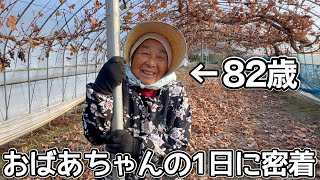 【密着】82歳おばあちゃんの冬支度がとても忙しかった！