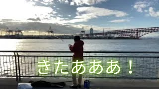 冬の大阪湾で謎の当たりを2回も・・・？