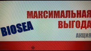 Максимальная выгода