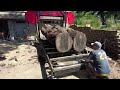 Sawing Matt Ruben's Massive & Historic Walnut Log