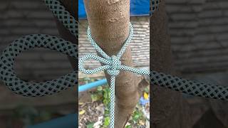 The mooring knots that experienced drivers must master. #diy #viral #shorts #绳结 #knots