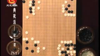 方天丰围棋经典死活：官子谱51