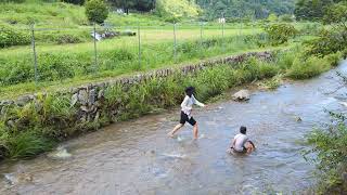 京都宇治の山奥の小川で川遊びしました。