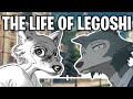 The Life Of Legoshi (Beastars)