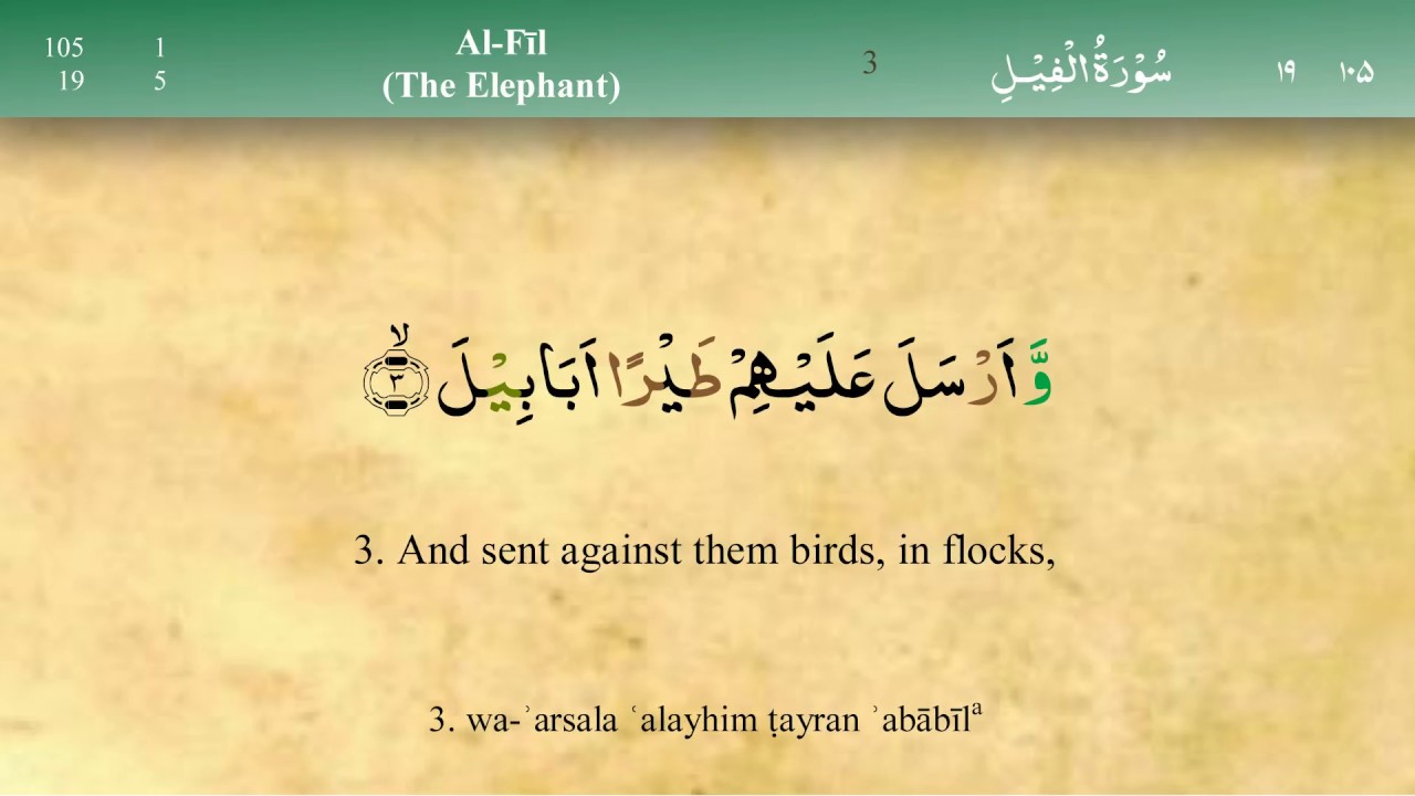 105 Surah Al Fil With Tajweed By Mishary Al Afasy (iRecite) - YouTube