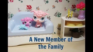 LPS: A New Member of the Family || LPS Movie || Sugar Diamond