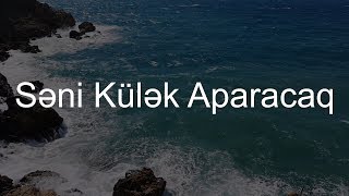 Tural Əhməd - Səni Külək Aparacaq ( Əyyub Qiyas )