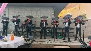 Mariachis de Tlaxcala - Mexican Music of the Day