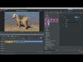 tutorial 080 section effect for cropping in magix movie studio and video pro x