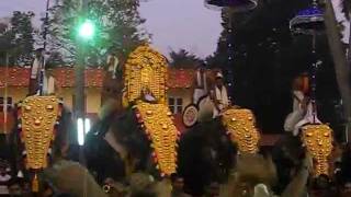 viswanathapuram shasti 2012 Irinjalakuda