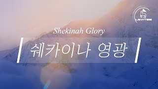 Shekinah Glory | Scott Brenner | Official Lyric Video