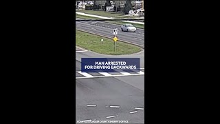 Man arrested for driving backward on Flagler County road